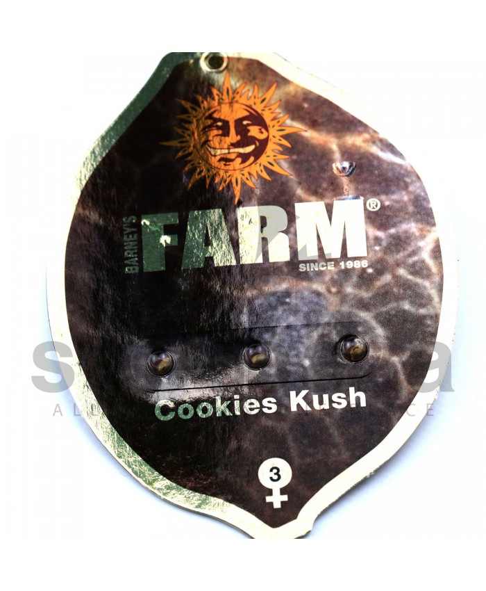 Cookies Kush Feminised